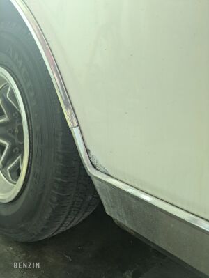 Chevrolet Monte Carlo - 1981