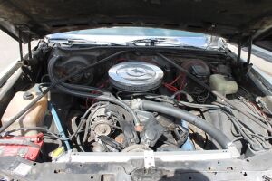 Chevrolet Monte Carlo - 1981