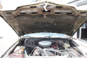 Chevrolet Monte Carlo - 1981