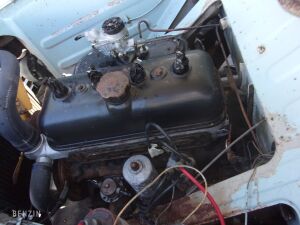 Peugeot 203C *Projet - 1955