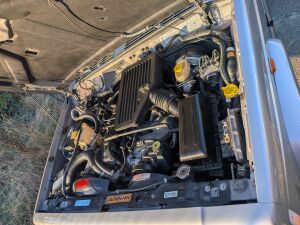 Jeep Cherokee XJ 4.0 Wild Sport - 2001