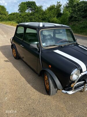 Mini 1000 (30th Anniversary) - 1989
