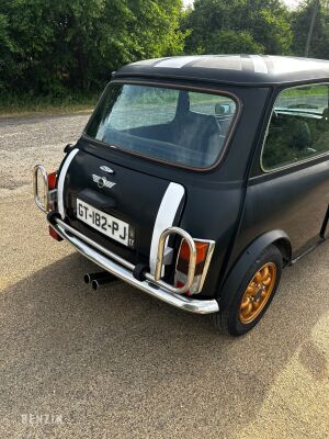 Mini 1000 (30th Anniversary) - 1989