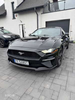 Ford Mustang EcoBoost - 2019