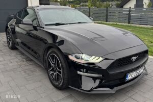 Ford Mustang EcoBoost - 2019