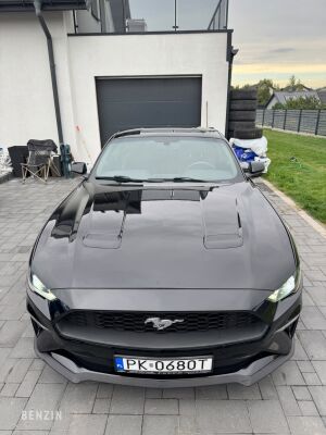 Ford Mustang EcoBoost - 2019