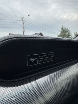 Ford Mustang EcoBoost - 2019