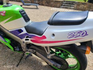 Kawasaki ZXR 250 - 1993