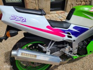 Kawasaki ZXR 250 - 1993