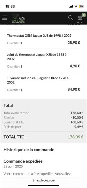 Jaguar XJ8 3.2 - 1998 in vendita all'asta su Benzin – foto 89/94