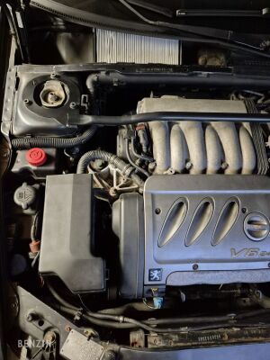Peugeot 406 Coupé V6 - 1998 zur Versteigerung auf Benzin – Foto 32/49