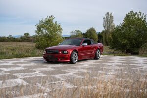 Ford Mustang S281 Convertible - 2007 à vendre aux enchères sur Benzin – photo 2/134